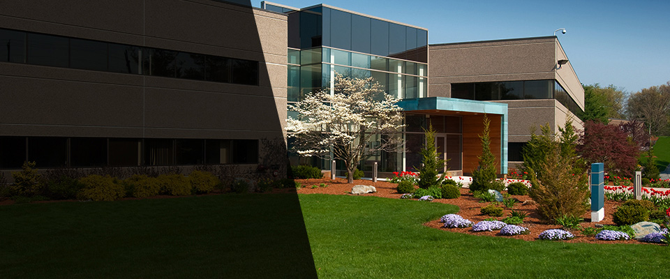 Alba Landscapers
