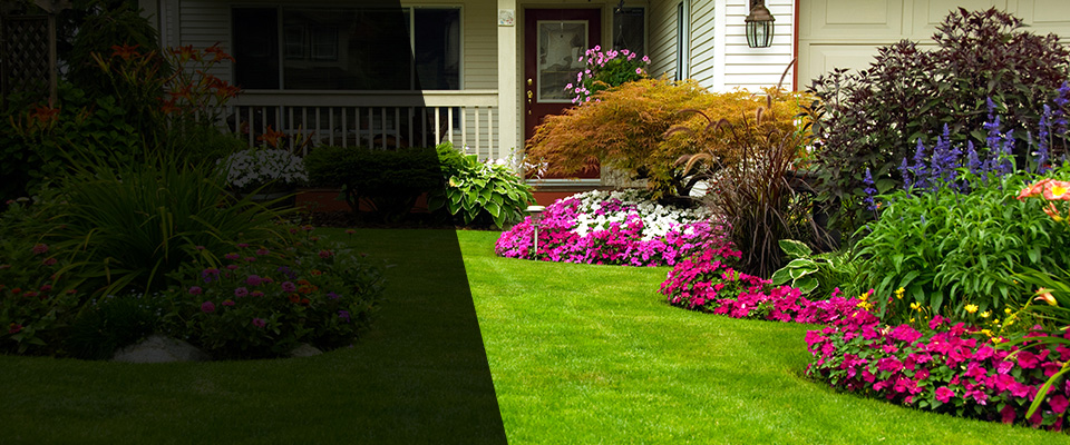 Alba Landscapers