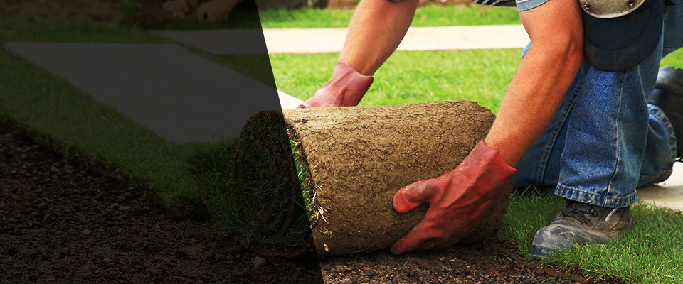 Alba Landscapers